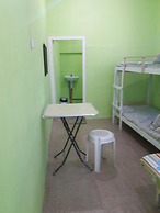 Green Bamboo