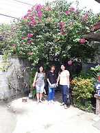 Green Bamboo