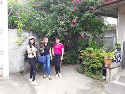 Green Bamboo