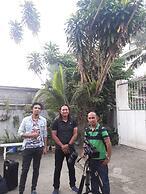 Green Bamboo