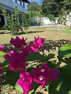 Silence Garden