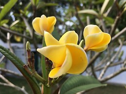 Silence Garden