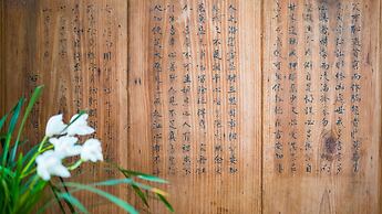 Floral Joy Cat Hotel