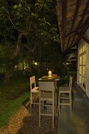 Bilin Tree House