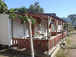 Mobile Home A Saliva