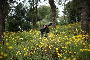 Logan Camp Ooty