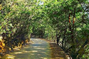Logan Camp Ooty