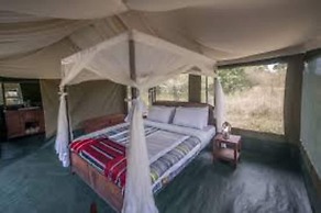 Acacia Migration Camp Ndutu