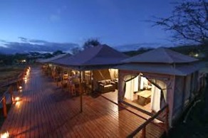 Acacia Seronera Luxury Camp