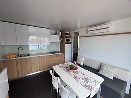 Camp Milo moje