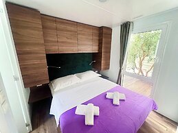 Camp Milo moje