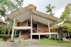 Disaster Oasis