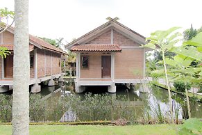 Disaster Oasis