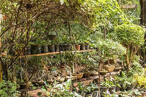 Green Garden Resort
