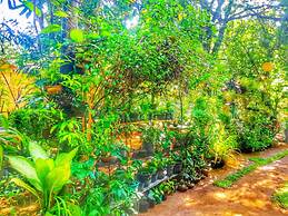 Green Garden Resort