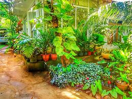 Green Garden Resort