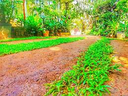 Green Garden Resort