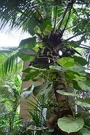 Green Garden Resort