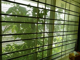 Sabrina's Home - Hostel