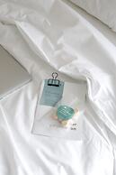 Chocolate Box Mint