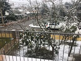 Bellavista