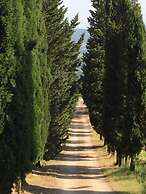 Poggio Corsucci