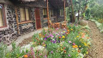 Mt. Kenya Riverside Retreat