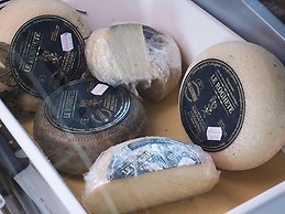 Le Roghete