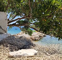 Villa Olive Tree