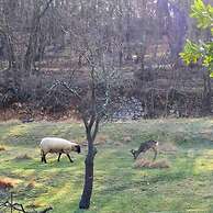 Agriturismo Radovic