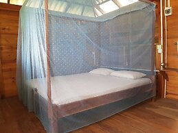 Albero Cabanas