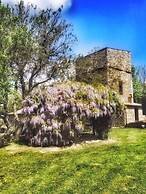 Podere Vitiano