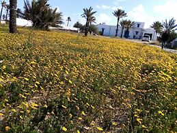 Houch La Driba