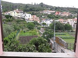 La Terra di Mingo