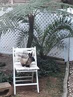 Umuzi Guesthouse