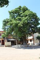 Meson La Huerta
