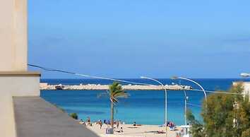 Araba Fenice