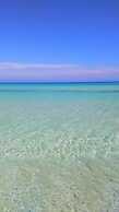 Araba Fenice