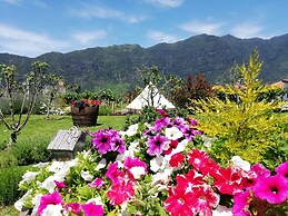 Grannys Farm