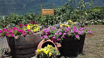Grannys Farm