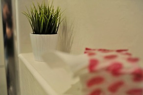 Apartment Flower