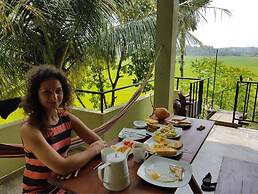 Paddy House Villa
