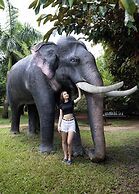 Casa Rio Resort Athirapilly