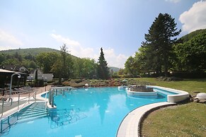 Solehotel Tannenhof