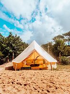 Star Surf Camps