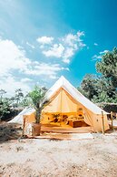 Star Surf Camps