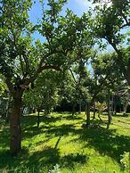 Casa  Limoneto