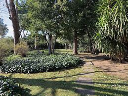Villa Albina B&B