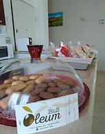 B&B Oleum