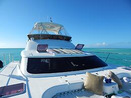 The White House TCI
